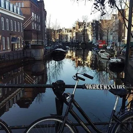 Rho Amsterdam
